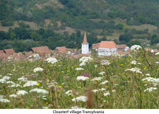 006-Cloasterf-village-Transylvania