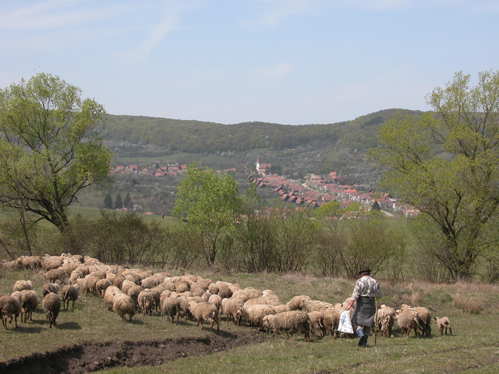 0016Mesendorf-village-and-shepherd