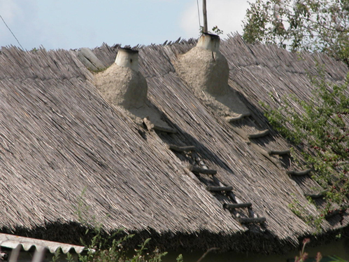 26traditional-thached-roof-from-Danube-Delta